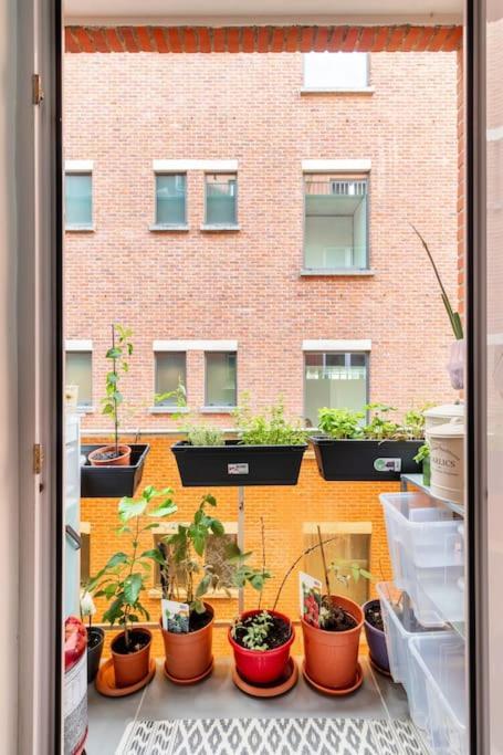European Heart 2-Bedroom Flat. ブリュッセル エクステリア 写真
